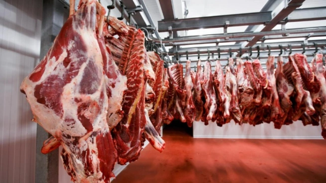 أسعار اللحوم اليوم السبت 10 مايو 2025