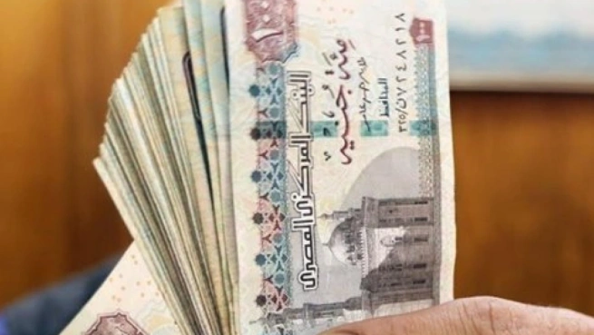 موعد صرف معاش تكافل وكرامة لشهر مايو 2025