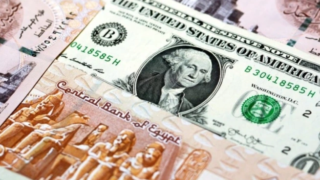 أسعار الدولار اليوم مقابل الجنيه المصري