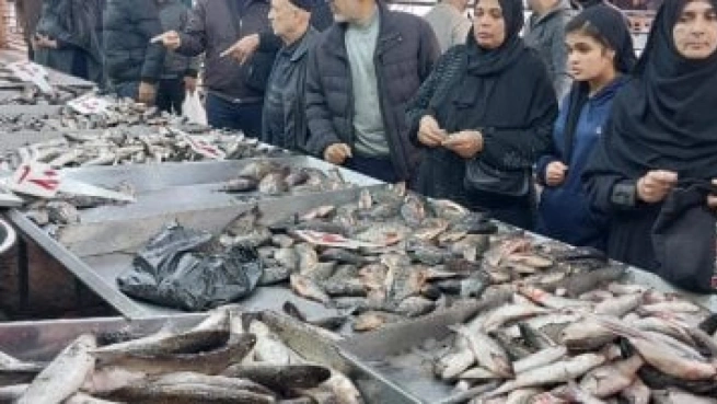 أسعار الأسماك في دمياط اليوم تشمل الجمبري ب1500 جنيه