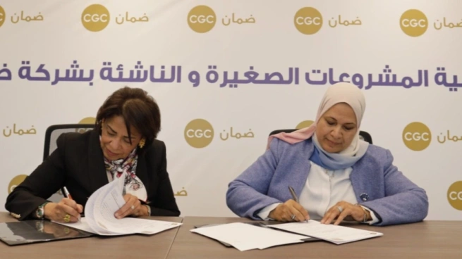 دعم الأسر اقتصادياً في الوادي الجديد يتسلم 410 مشروعات متناهية
