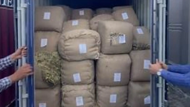 جهوده كبيرة لمكافحة تهريب البضائع والجرائم الجمركية